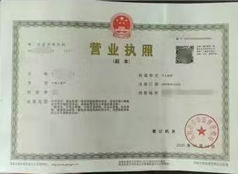 公司注销、执照吊销处理、解除工商异常